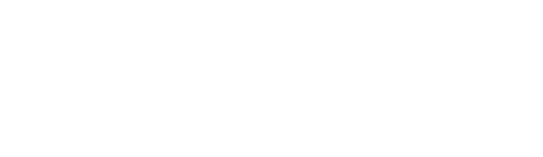Iconnet Logo